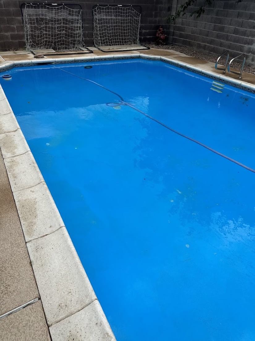 Backyard pool with sparkling clear water