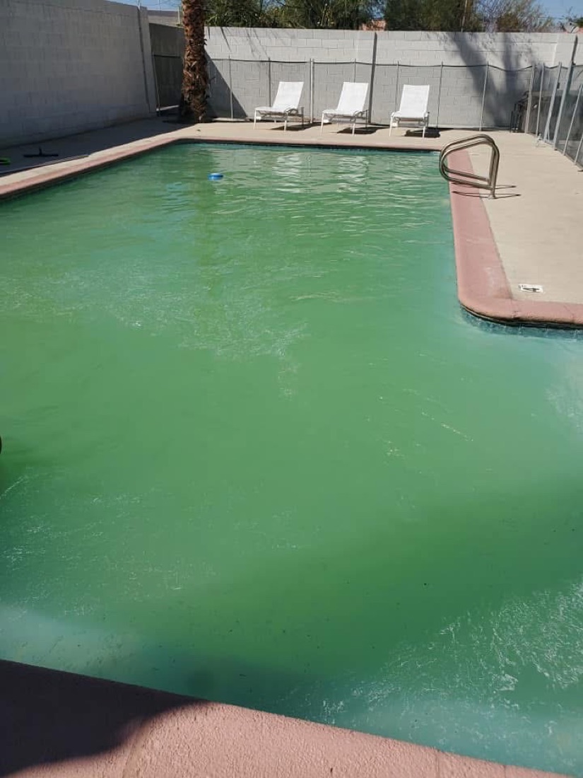 Green algae pool before Excellent Pool Care recovery service
