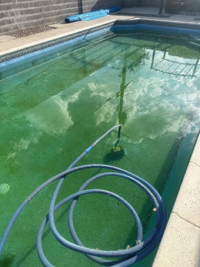 Green algae pool before Excellent Pool Care recovery service