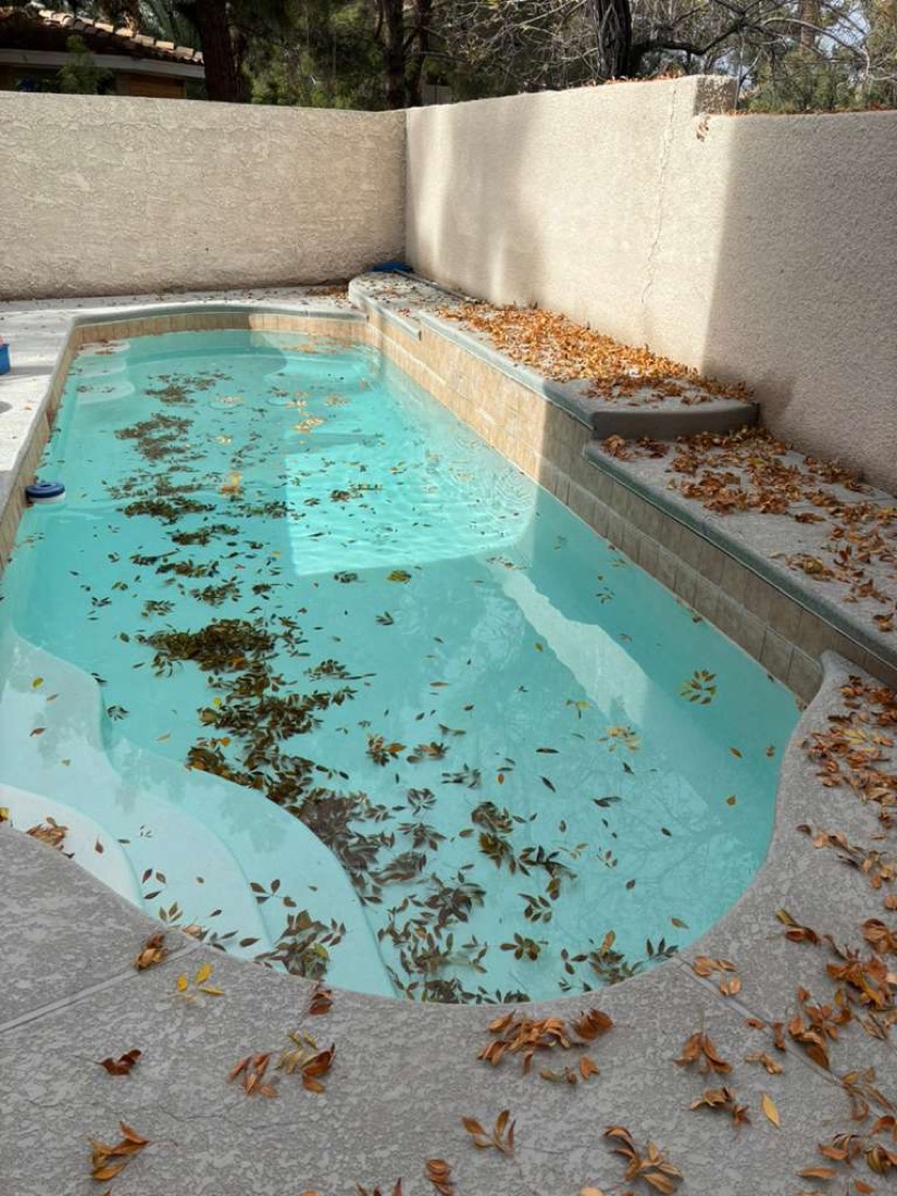 Pool covered in fallen leaves before Excellent Pool Care cleaning